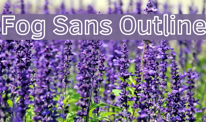 Fog Sans Outline Font examples