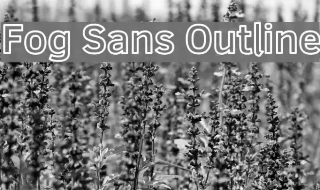 Fog Sans Outline Fonte examples