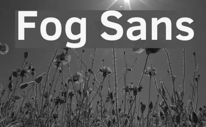 Fog Sans Font examples