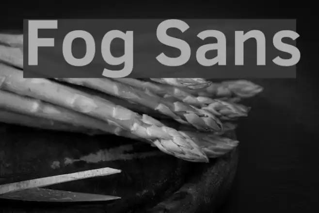 Fog Sans Font examples