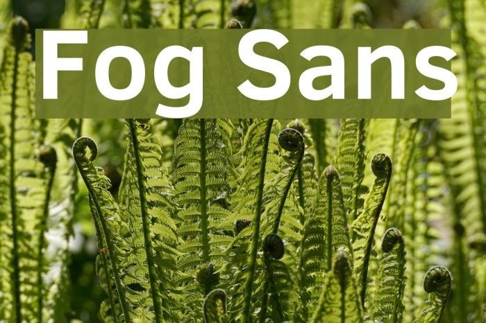 Fog Sans Font examples