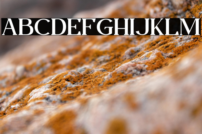 Fogie Personal Use Example 1