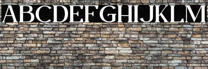 Fogie Personal Use Example 2