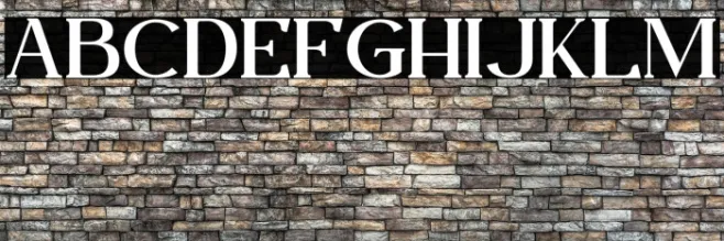 Fogie Personal Use Example 2
