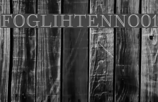 FoglihtenNo01  examples