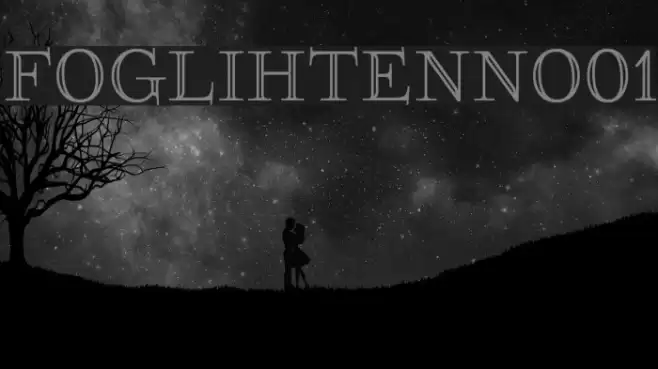 FoglihtenNo01  examples