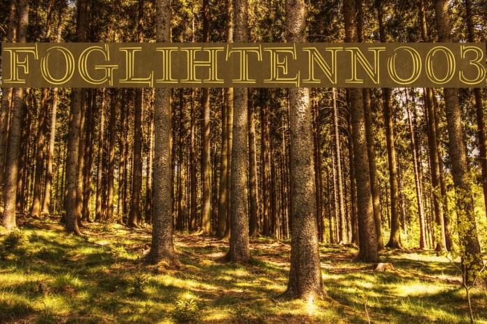 FoglihtenNo03 Font examples