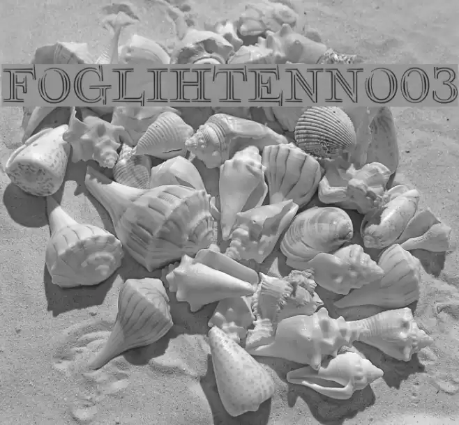 FoglihtenNo03 Fonte examples