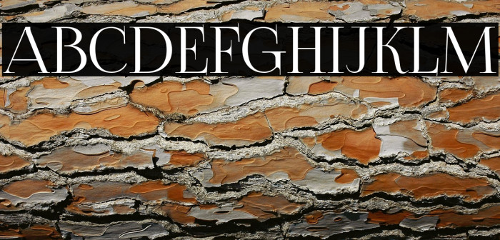 FoglihtenNo06 Example 1