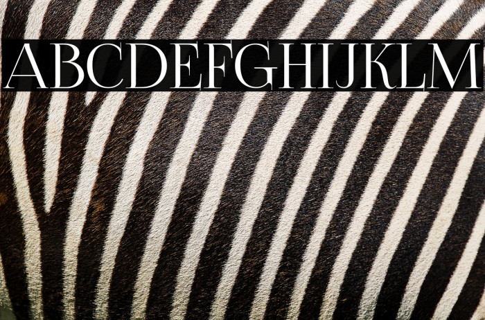 FoglihtenNo06 Example 2