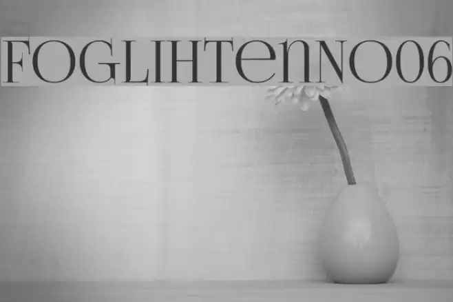 FoglihtenNo06  examples