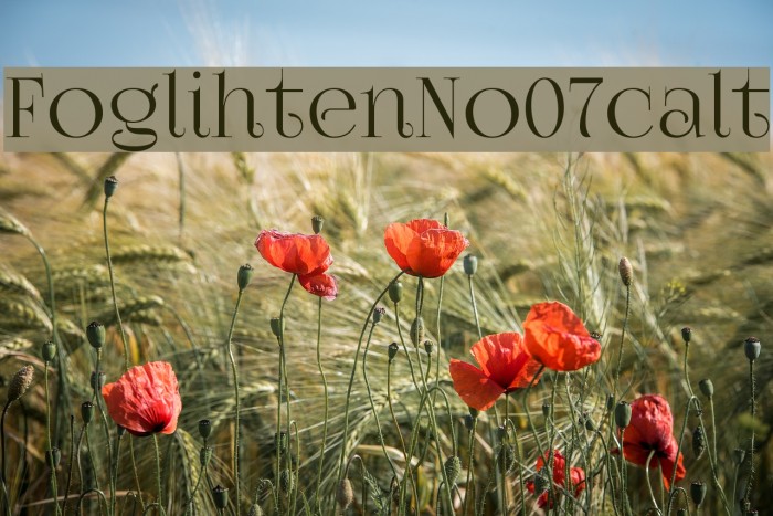 FoglihtenNo07calt Font examples