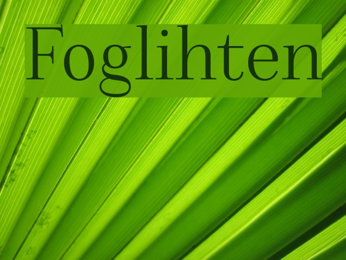 Foglihten Font examples
