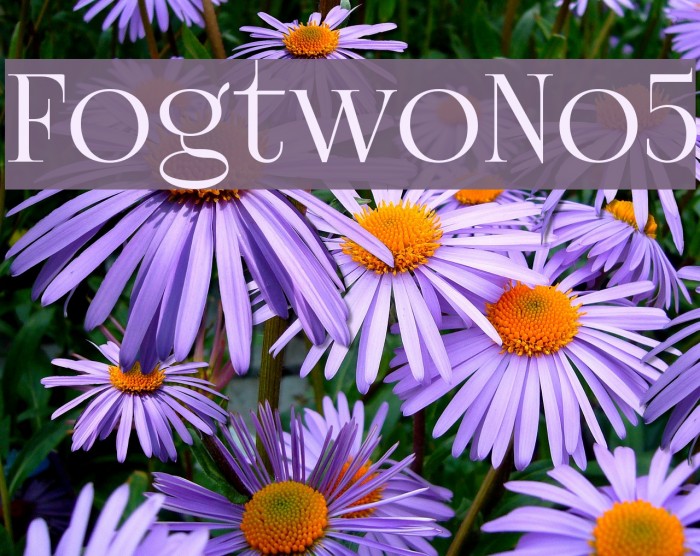 FogtwoNo5 Font examples