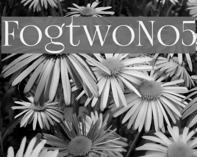 FogtwoNo5 Font examples