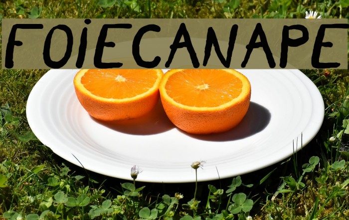 FoieCanape Example 2