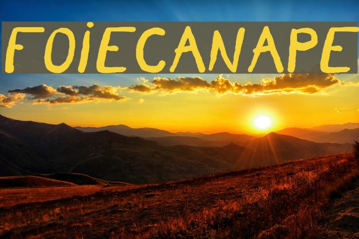 FoieCanape Example 3