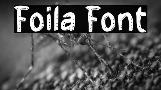 Foila Fonte examples