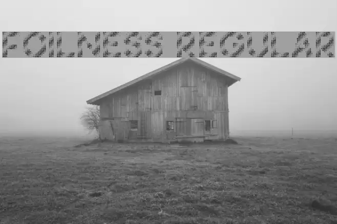 Foilness Regular Font examples