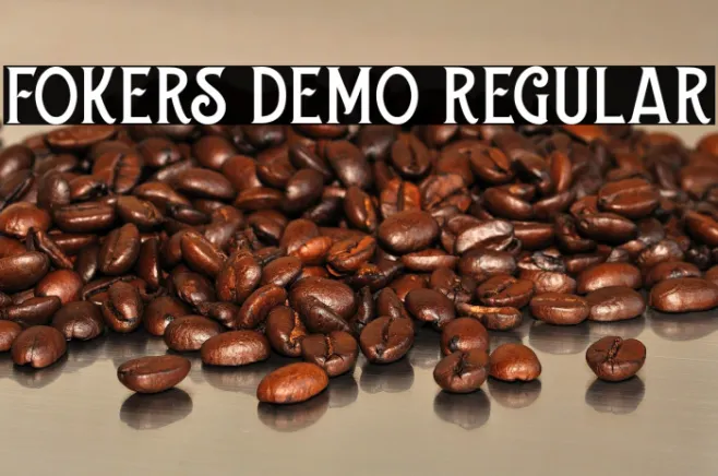 Fokers DEMO Regular Example 1