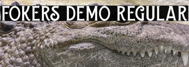 Fokers DEMO Regular Example 2