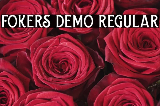 Fokers DEMO Regular Example 3