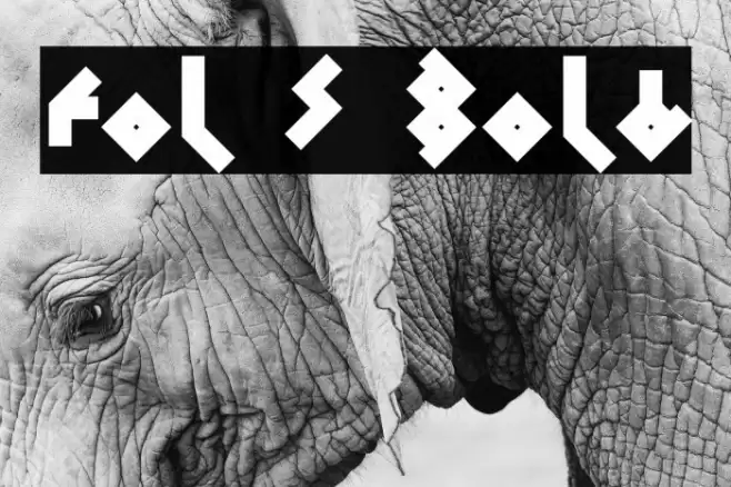 Fol S Bold Font examples