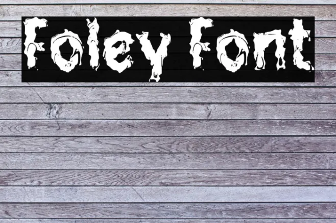 Foley Example 3