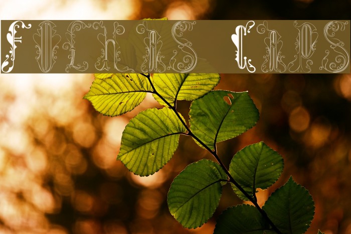Folhas Caps Font examples