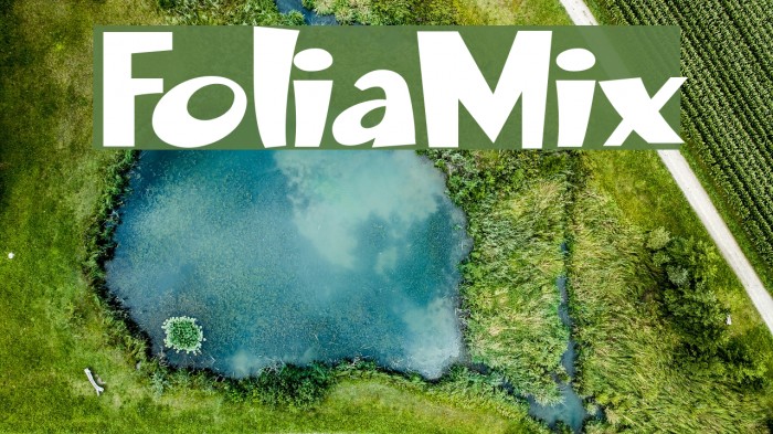FoliaMix Font examples