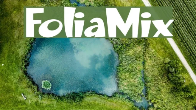 FoliaMix Example 3