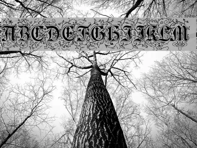 Foliar Initials Font examples