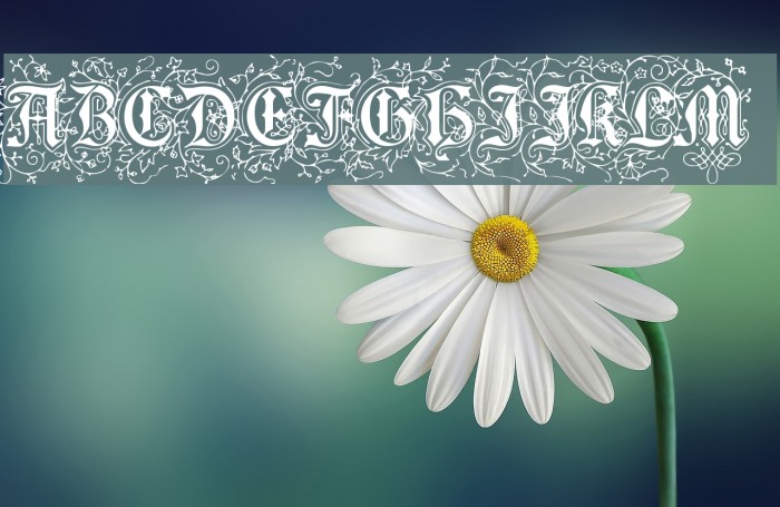 Foliar Initials Font examples