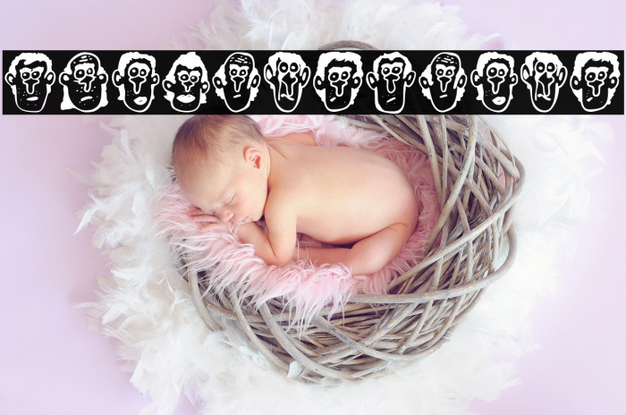 Foliga Regular Example 2