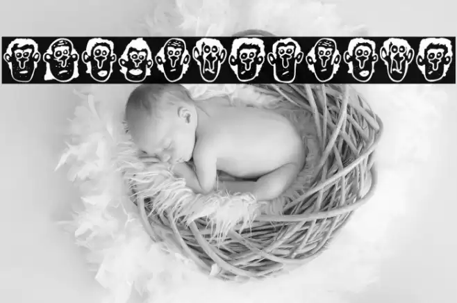 Foliga Regular 字体 examples