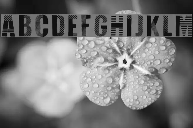 Folk Festival Font examples