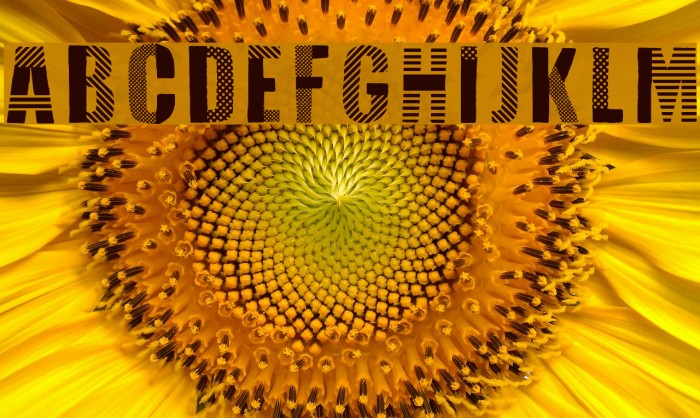 Folk Festival Example 2