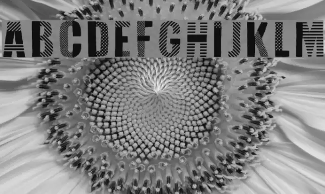 Folk Festival Font examples