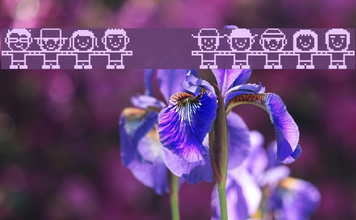 Folk   white Example 3