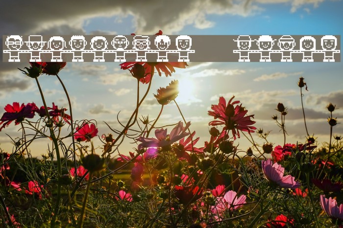 FolkDance   white Example 1