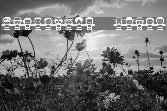 FolkDance   white Font examples