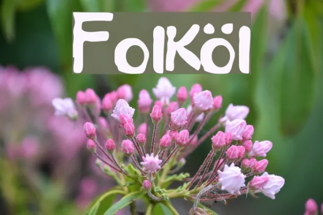 Folköl Example 1