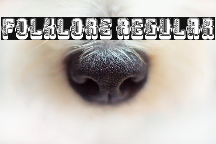 Folklore Regular Example 2