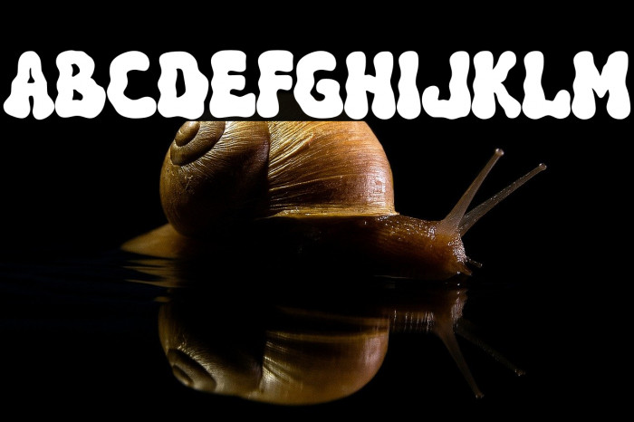 FolkloreDEMO-Regular Example 3