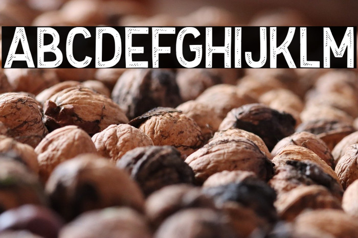 FolknerStamp Example 3