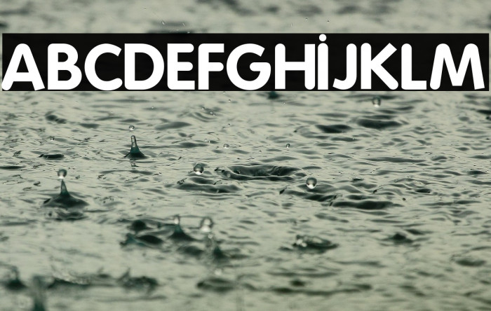 Folks-Bold Example 2