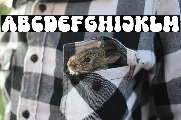 Folks Dreaming Regular Example 1