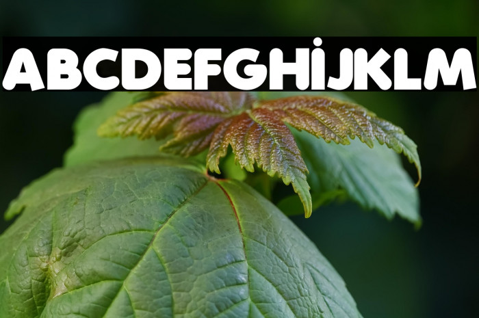 Folks-Heavy Example 2