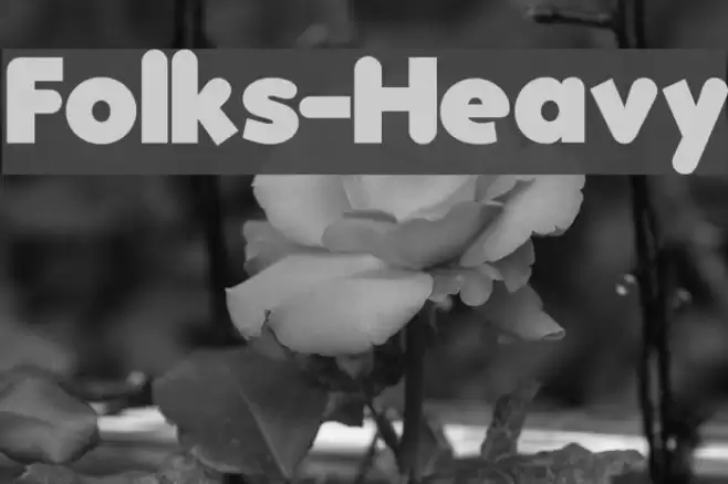 Folks-Heavy Schriftart examples