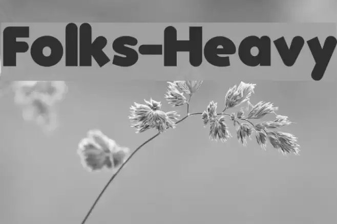 Folks-Heavy Schriftart examples